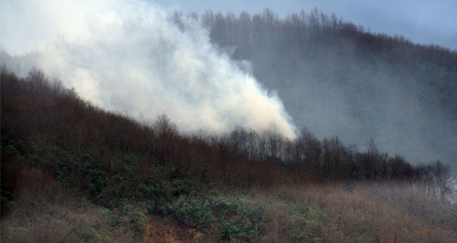 Trabzon’da orman yangını söndürülemiyor