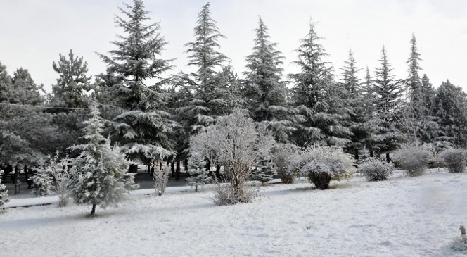 Sorgun'da Kar Yağışı İlçeyi Beyaza Bürüdü