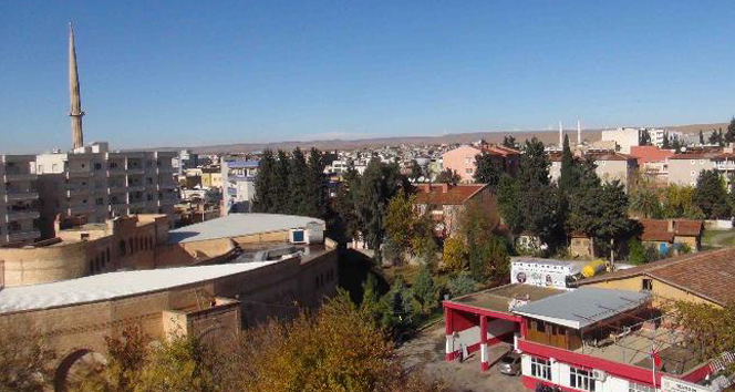 Nusaybin’de operasyon başladı