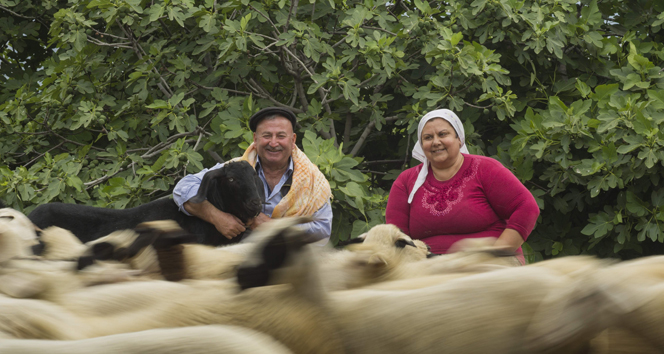 İki gönül bir, samanlık seyran oldu