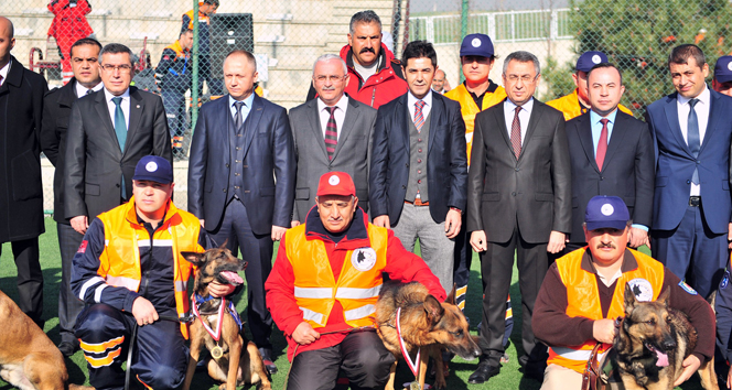 Ankara İtfaiyesi’nin şampiyon K-9 köpekleri