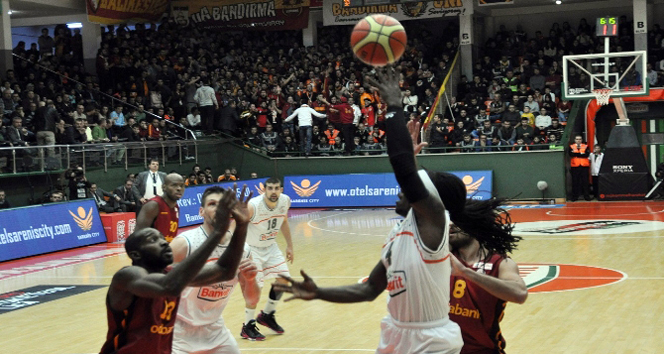 Aslan’a potada şok