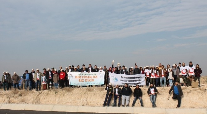 Karaman'da 180 Fidan Toprakla Buluştu