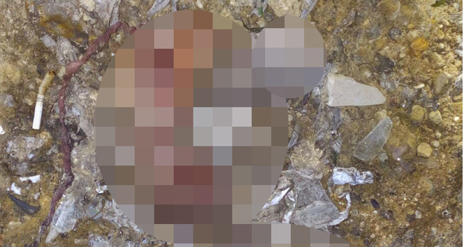 Çöpe atılan 26 cenin için 19 bin 320 TL para cezası