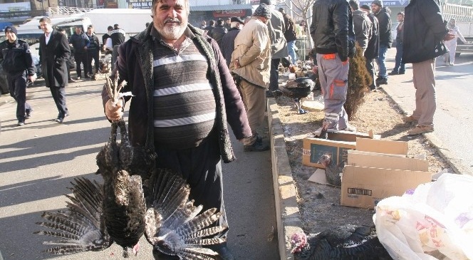 Yozgat'ta Yılbaşı Hindileri Pazara İndi