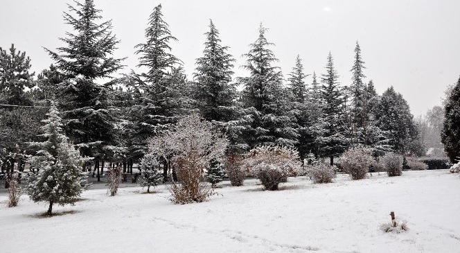 Sorgun'da Kar Yağışı Kazaları Beraberinde Getirdi