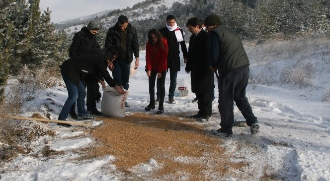 Yozgat'ta Yaban Hayvanları İçin Yem Bırakıldı