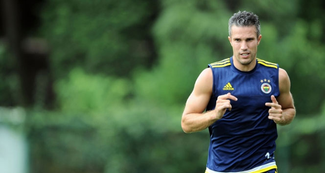 Robin van Persie, Hollanda Milli Takımı&#039;ndan çıkarıldı