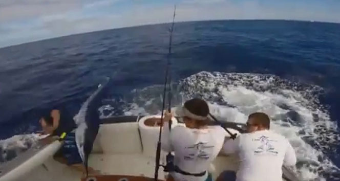 Okyanusta kılıç balığı avı