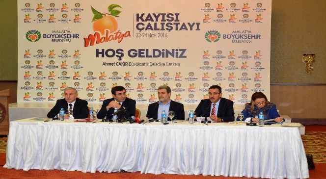 Malatya'da "Kayısı Çalıştayı" Düzenlendi
