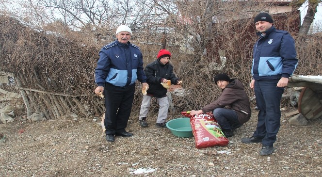 Ilgaz Belediyesi Sokak Hayvanlarını Unutmadı