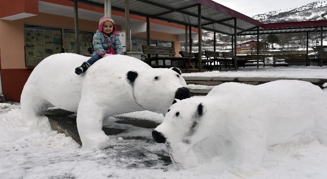 Kardan Adam Değil Kardan Kutup Ayısı Yaptı