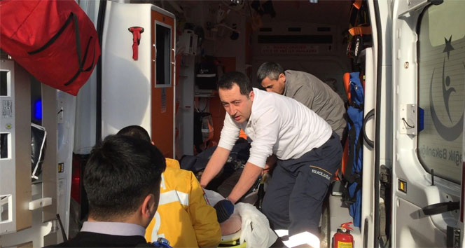 Ayının saldırısına uğrayan şahıs ağır yaralandı