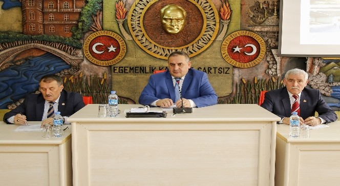 Aslan Meclise Brifing Verdi