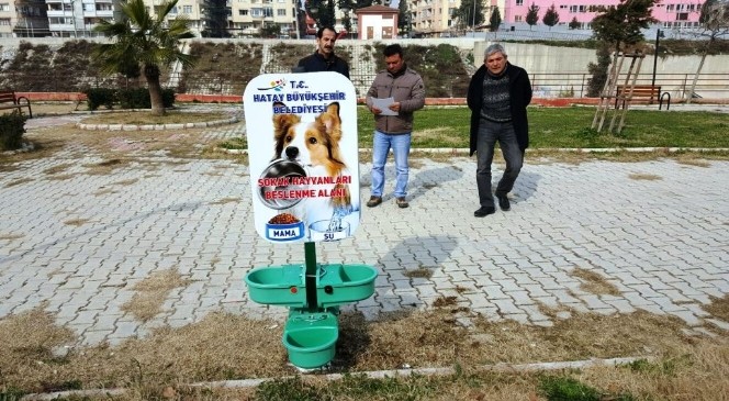 Hatay Büyükşehir&#039;den Hayvan Dostu Beslenme Odakları