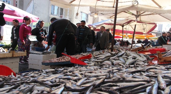 Balık Fiyatları Yarıya DÜştü