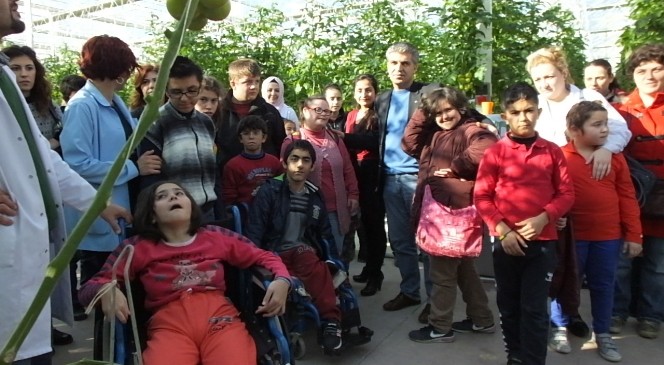 Burhaniye&#039;de Engelli Çocuklar Sera İle Tanıştı