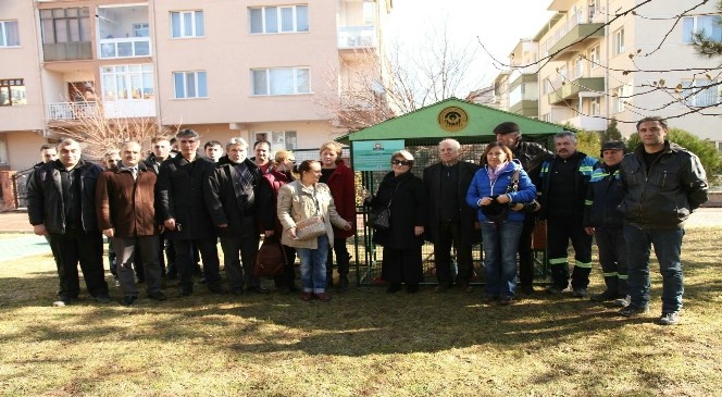 Odunpazarı&#039;nda Sokaktaki Kediler İçin El Ele Verildi