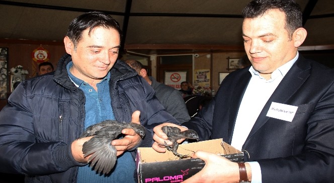 Araba Fiyatına Tavuk