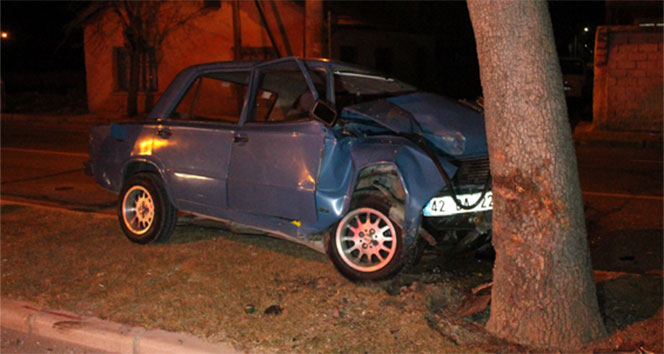 Ehliyetsiz sürücü ağaca çarptı: 1 yaralı