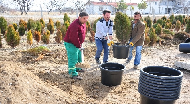 Karaman Belediyesi Fidanlığında Yaz Hazırlığı Başladı