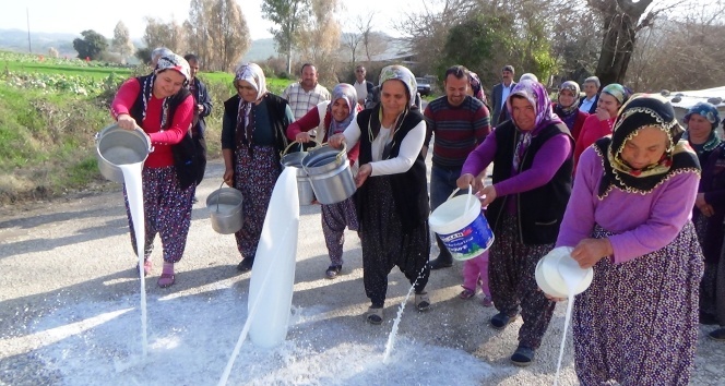 Köylü kadınlar sütleri sokağa döktü