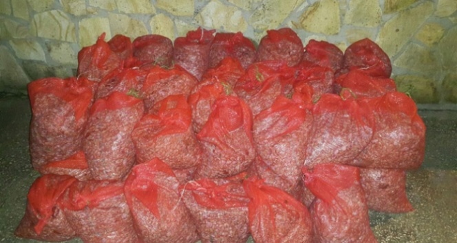 Edirne’de 700 kilo midye ele geçirildi
