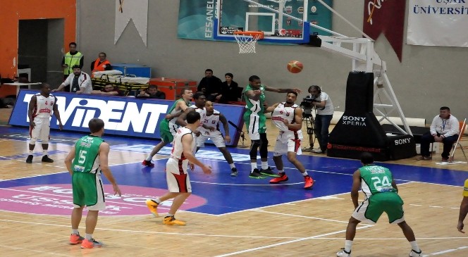 Spor Toto Basketbol Ligi