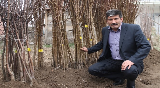 Akdağmadeni Ziraat Odasından 'herkesin Bir Fidanı Olsun' Kampanyası