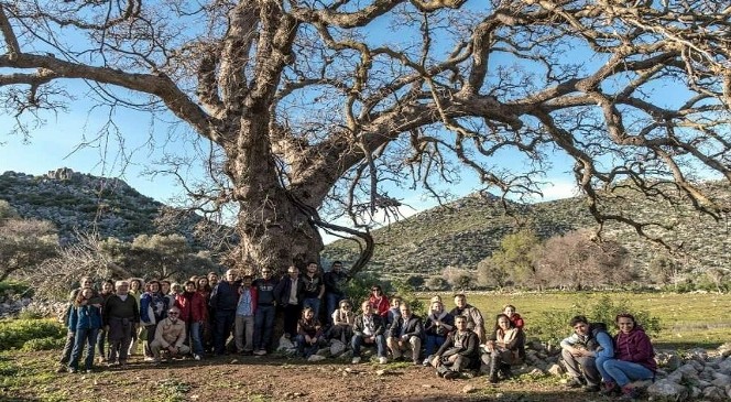 Datça Ve Bozburun'da Birlikten Kuvvet Doğuyor