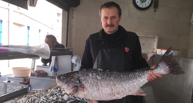 Dev minekop görenleri şaşırttı