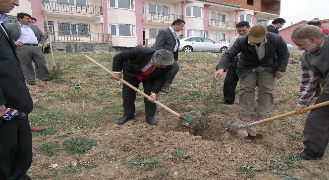 Sorgun'da Ağaçlandırma Çalışmalarına Hız Verildi