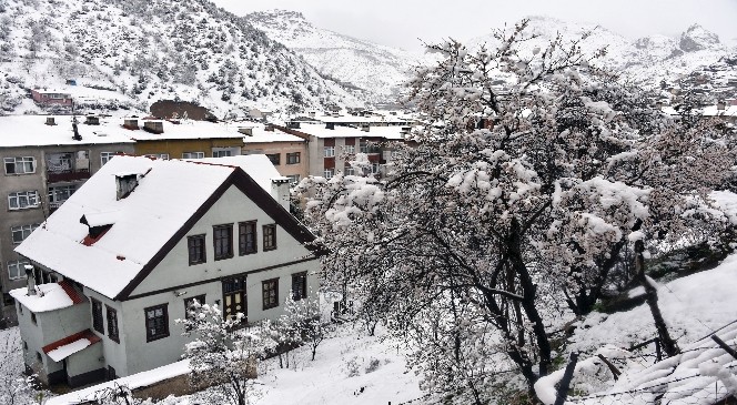 Gümüşhane'de Kar Yağışı