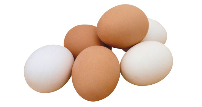 Tavuk yumurtası üretimi Kasım’da yüzde 0,4 azaldı