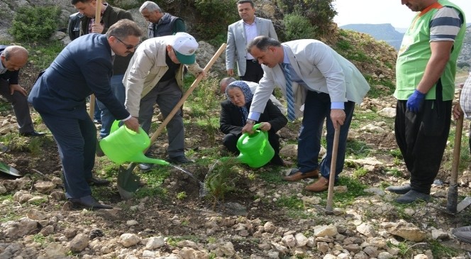 Şehit Yüzbaşı Yiğitcan Çiğa'nın Adı Ormanda Yaşayacak