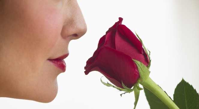 Kokular Duygularımızın Yüzde 75'ini Etkiliyor