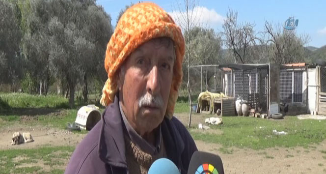 İzmir&#039;e UFO düştü iddiası