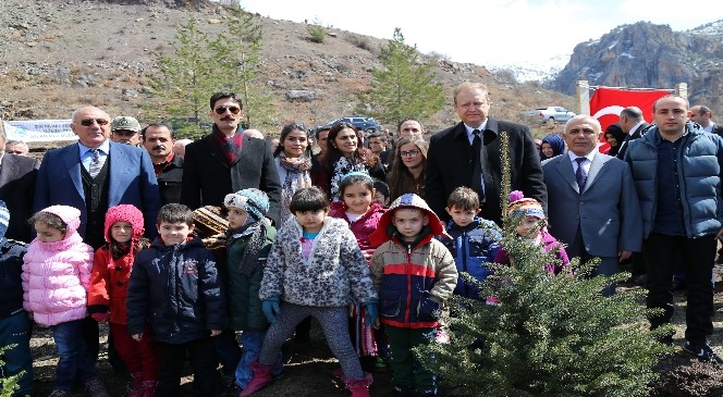 Cebeli Köyüne 10 Bin Fidanlık Yeni Orman