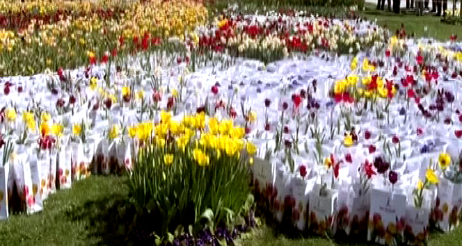 Sancaktepe'de rengarenk lale festivali