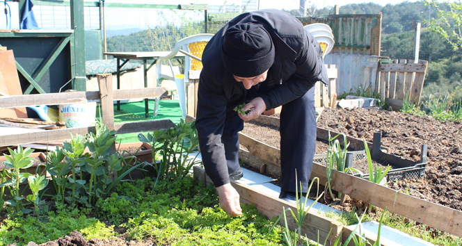 Bu hobi bahçeleri 7’den 77’Ye herkesi toprakla buluşturuyor
