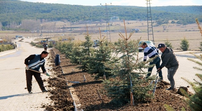 Akdağmadeni Belediyesi Yeşillendirme Çalışmalarını Aralıksız Sürdürüyor