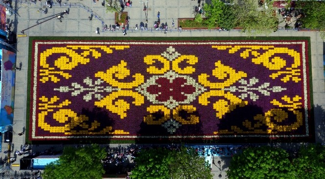 Dev Lale Halısı Havadan Görüntülendi