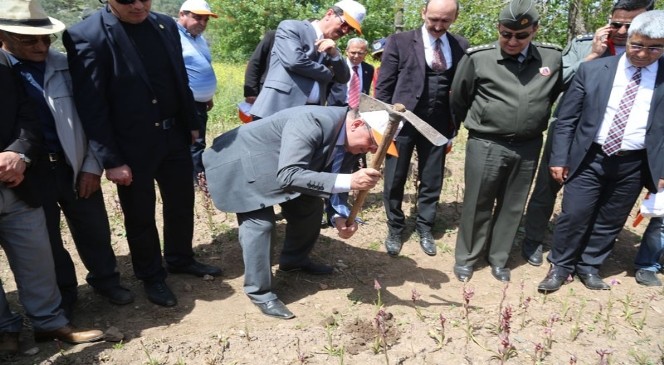 Muğla'da Endemik Bitkiler Korunuyor