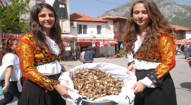 Fethiye'de Mantar Festivali Coşkusu