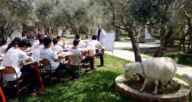 Hababam Sınıfı gerçek oldu