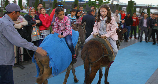Çocuklar eşeğe ters binerek yarıştı