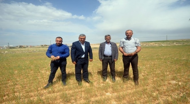 Karaman'da Kuraklık Çiftçiyi Vurdu