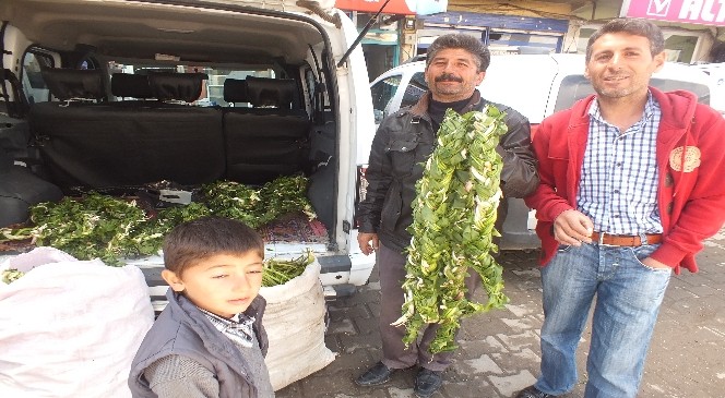 Şifalı Otlar Tezgâhlarda Yerini Aldı