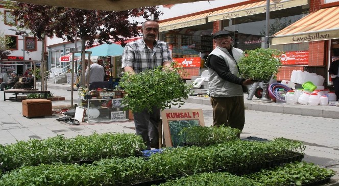 Yozgat'ta Sebze Fiyatları Satışa Sunuldu