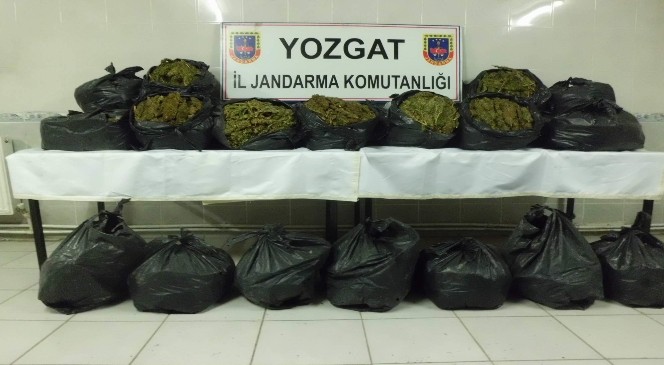 Yozgat Jandarma 100 Kilo Esrar Ele Geçirdi